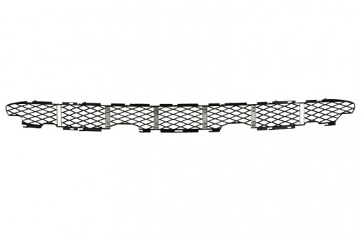 Grila bara fata (inferior, plastic, argintiu) BMW X5 (E53) intre 2003-2006