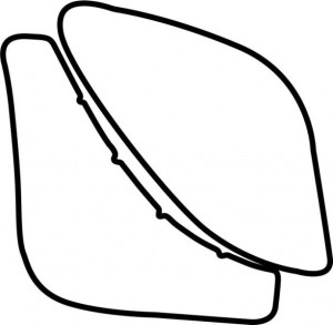 Autocolant protectie aripa dreapta culoare: transparent, 3M PPF 4.0 folie / auto-ajustant potrivit TOYOTA AURIS E15 5D 03.07-09.12 - Img 1