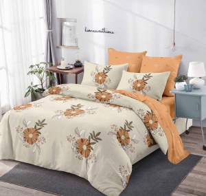 Lenjerie de pat FINET pentru 2 persoane, 6 piese, cod produs H21-6368