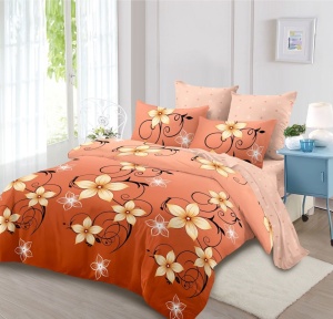 Lenjerie de pat FINET pentru 2 persoane, 6 piese, cod produs H21-11692