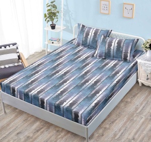 Cearsaf cu elastic Finet, 160x200cm + 2 fete de perna, cod produs H21-5288