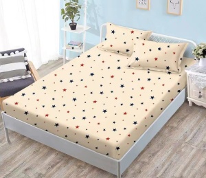 Cearsaf cu elastic Finet, 180x200cm + 2 fete de perna, cod produs H21-6682