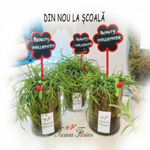 Beauty Influencer - Aranjament floral cu plantă cu rădăcină