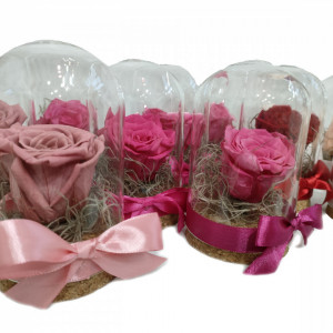 Preserved Rose