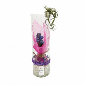 Zambilă în cilindru de sticlă cu plantă aeriană