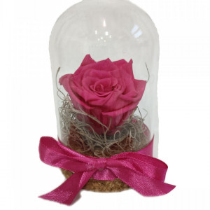 Preserved Rose