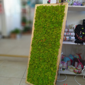 TABLOU cu LICHENI NATURALI CONSERVATI
