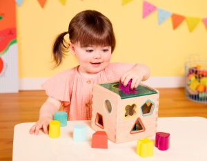 Cub educativ din lemn cu 9 forme diferite B.Toys - Img 5
