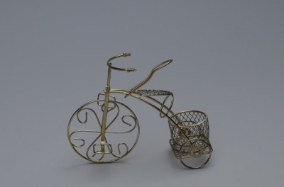 Marturie Bicicleta Aurie
