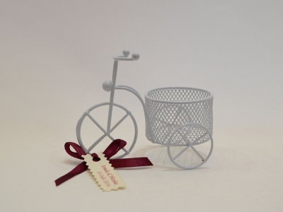 Marturie Nunta Bicicleta Alba