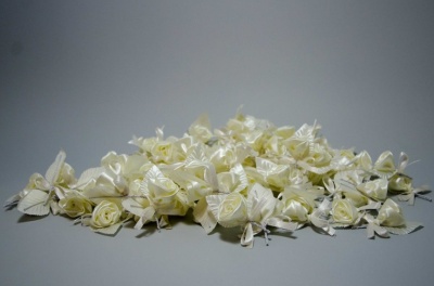 Cocarde trandafir ivory s