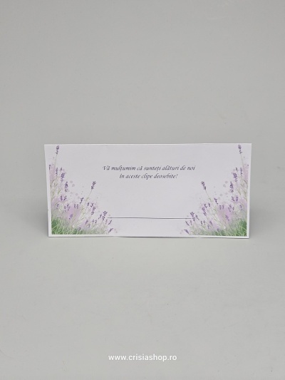Plic bani lavanda - Img 2