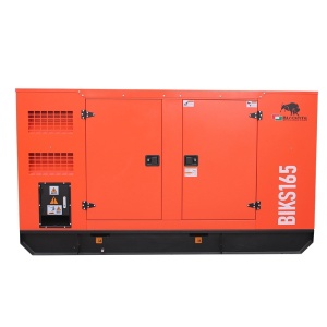Generator de curent Bisonte BIKS165, insonorizat, Putere maxima 165kVA 400V ATS inclus