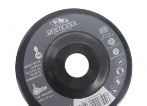 Disc lamelar pt. slefuit placi, gran. 120, Ø115mm - Raimondi-274FDLAM120 - Img 1