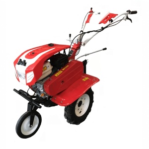 Motocultor BISONTE Agro Garden BTA-900 latime de lucru 560 – 830 mm, adancime 300 mm, motor 7 cp - Img 2