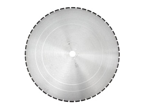 Disc diamantat 650mm DR.SCHULZE BS-W 2.0