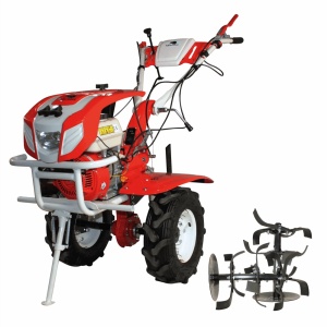 Motocultor BISONTE Agro Garden BTA-1001, 8.5 CP, 223 cc, 5.00-8, cu cover