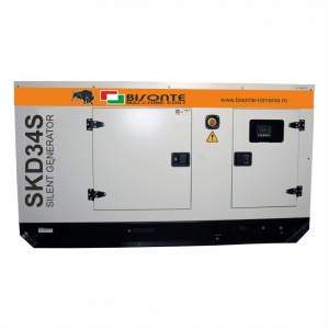 Generator insonorizat Bisonte SKD34S ATS, Putere max. 34 kVA, 400V, AVR, motor Diesel - Img 2