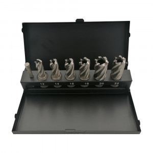 Set-Trusa Carote HSS cu prindere WELDON și pin centrare - 7 piese