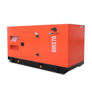 Generator de curent Bisonte BIKS70, insonorizat, Pmax=69kVA 400V ATS inclus - Img 2