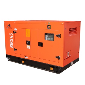 Generator de curent Bisonte BIKS45, insonorizat, Putere maxima 44kVA 400V ATS inclus - Img 2