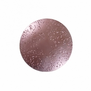 Disc metalic abraziv pentru Chameleon ROKAMAT Ø 200 mm, mediu (2 buc)