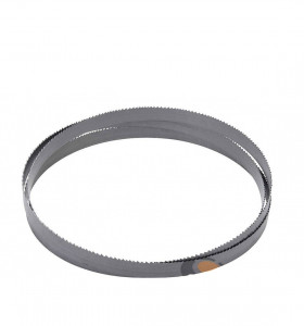 Panza pentru ferastrau cu banda BiFlex 1638 x 13 x 0,6 - Vario 6/10 TpI