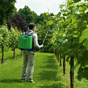 Pulverizator / Pompa de stropit Dimartino-GDM Rosy, 12 L - Img 2