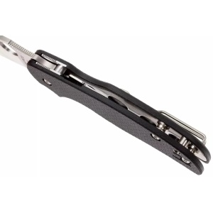 Briceag Sage™ 5 Compression Lock, Spyderco - Img 5