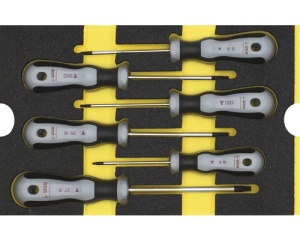 Set surubelnite TX, 6 piese, insertie pentru sertar