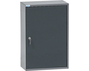 Dulap suspendat pentru atelier 40 x 60 x 20 cm cu 2 polite - Img 2