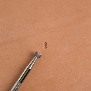 Stanta pielarie - Tandy Leather