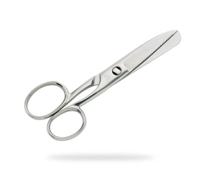 Foarfeca de bucătărie detasabila pentru peste, 18 cm, Premax