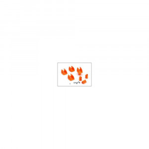 Set(4) 1x3 Opritor platforma, Veritas Tools. - Img 1