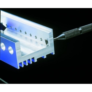 Zencuitor reversibil mediu, Noga - Img 2