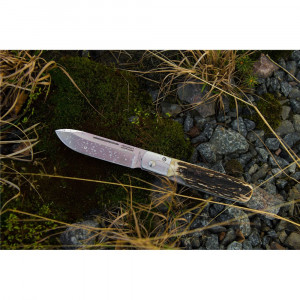 Briceag GPs (Stag), Fallkniven - Img 8
