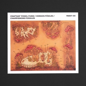 Sablon reutilizabil Craftaid, model fosile si ciuperci (Fossil Fungi) pentru modelaj piele - Tandy Leather 76657-00