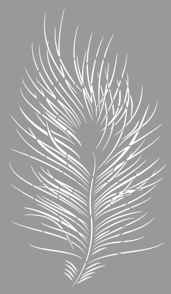 Peacock Feather - various dimensions / thicknesses - SP268 - Img 3