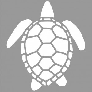 Reusable Turtle Stencil 20x20cm