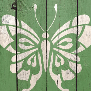 Set of 4 stencils Butterflies Flowers 14*14cm SP97-2 - Img 4