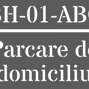 Set Sabloane Refolosibile Parcare Domiciliu - SPD01-03