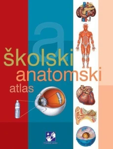 Školski anatosmki atlas, Kreativni centar