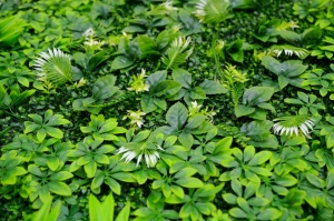 ZELENI ZID 3D JUNGLE 100X100 CM - Img 2