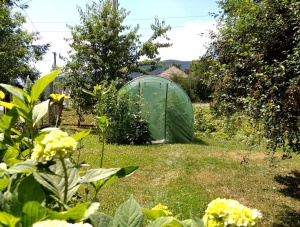 PLASTENIK BAŠTENSKI 4-SEGMENTNI 4,5 x 2 x 2 m ZELENI SA OPCIJOM DODATNE VENTILACIJE 3927 - Img 3