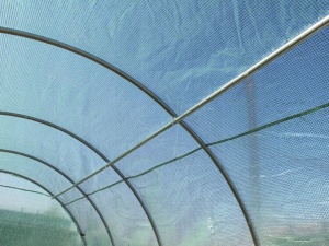 Baštenski plastenik za paradajz – zeleni, 200 × 77 × 168/146 cm 5507 - Img 10