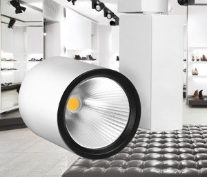 LED reflektor 30W 4000K za butik