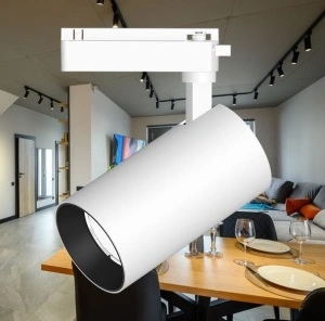 Šiinski reflektor 30w COB A15 — podešavanje ugla reflektora na nosaču