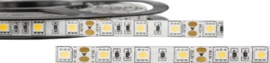 LED traka bela 12V SMD 5050 60 LED/m 5m – bočni prikaz oblika i kućišta