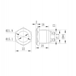 Taster MP19S/F10 - Img 2