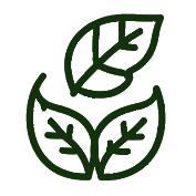 cerneluri eco